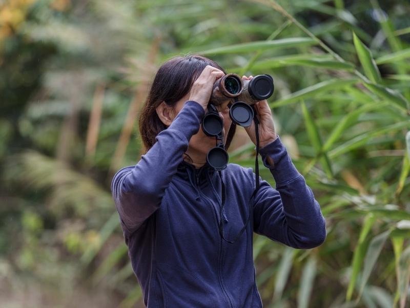 Observation des animaux avec des jumelles