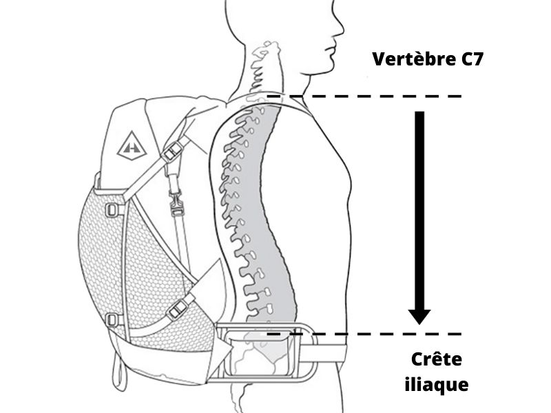 Schéma pour le réglage du sac à dos : vertèbre c7 et crète iliaque