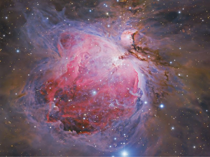 Nébuleuse d'Orion observée