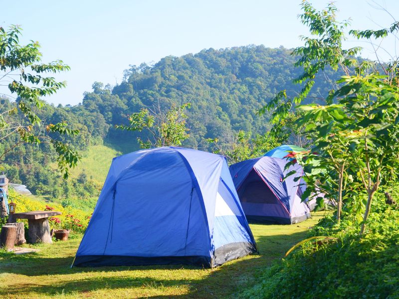 Plusieurs tentes de randonnée alignées