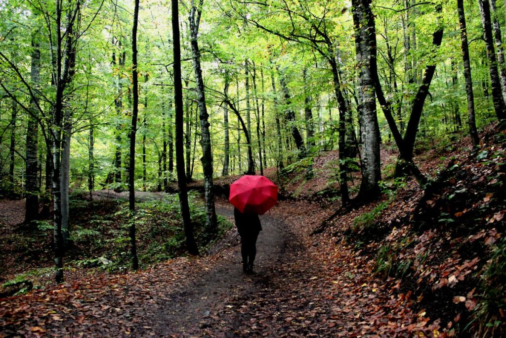 Dix raisons de randonner avec un parapluie