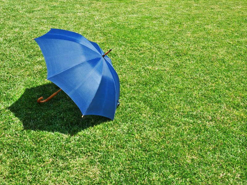 Parapluie bleu posé sur l'herbe au soleil