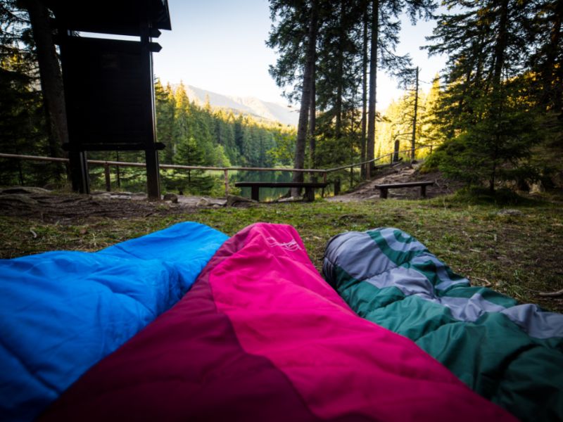 Sursacs de couchage dans la forêt