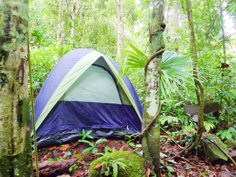 Tente de randonnée dans la jungle