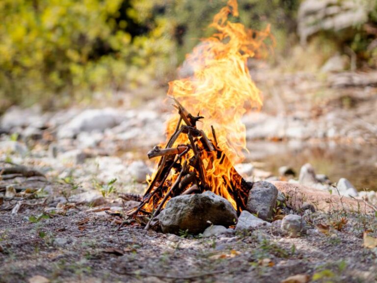Comment faire du feu dans la nature ? Notre guide pratique